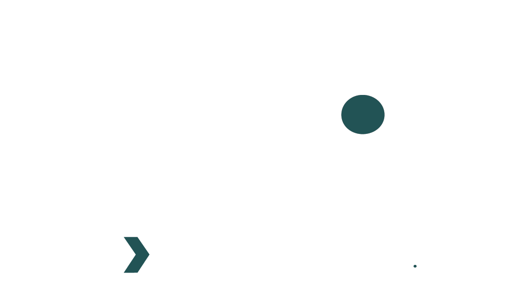 TSP Creative Collective logo