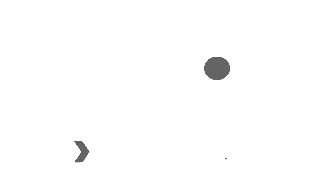 TSP Holdings brand symbol