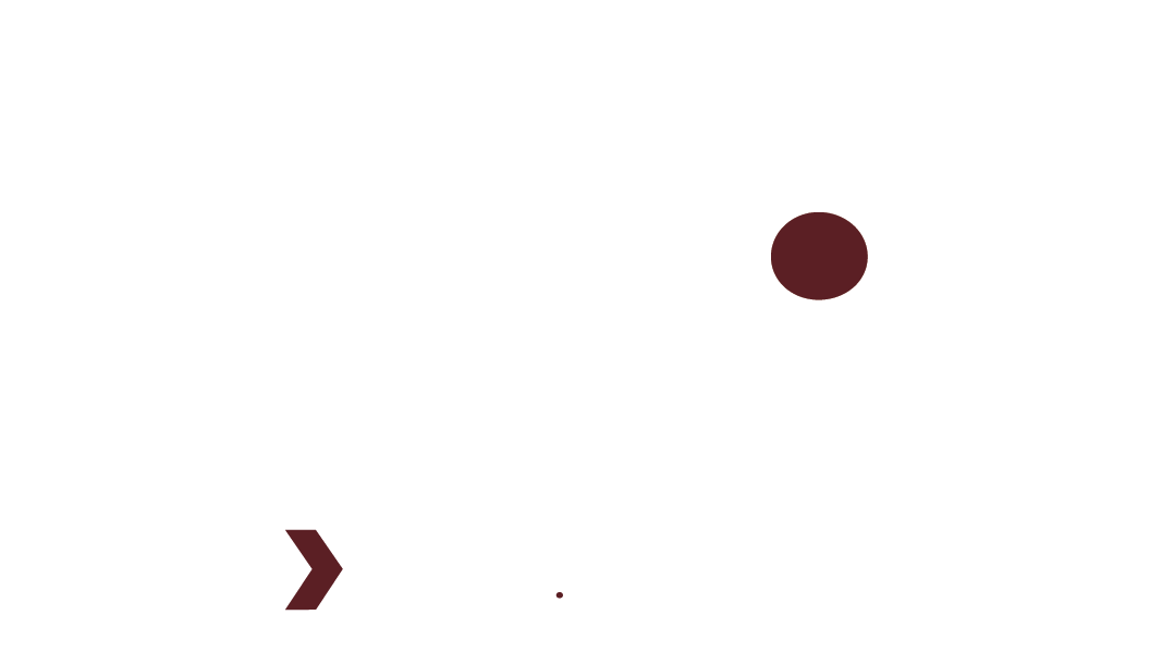 TSP Live logo